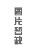 ɽޣԥ
